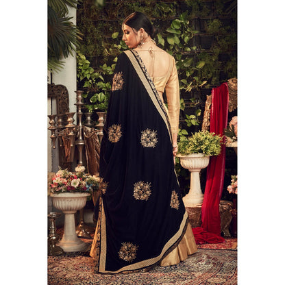 Ranian Oxidized Gold Round Neck Blouse with Lehenga and Velvet Dupatta (Set of 3)