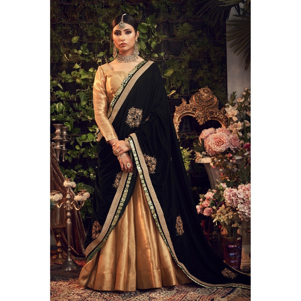 Ranian Oxidized Gold Lehenga and Blouse with Green Velvet Dupatta (Set of 3)