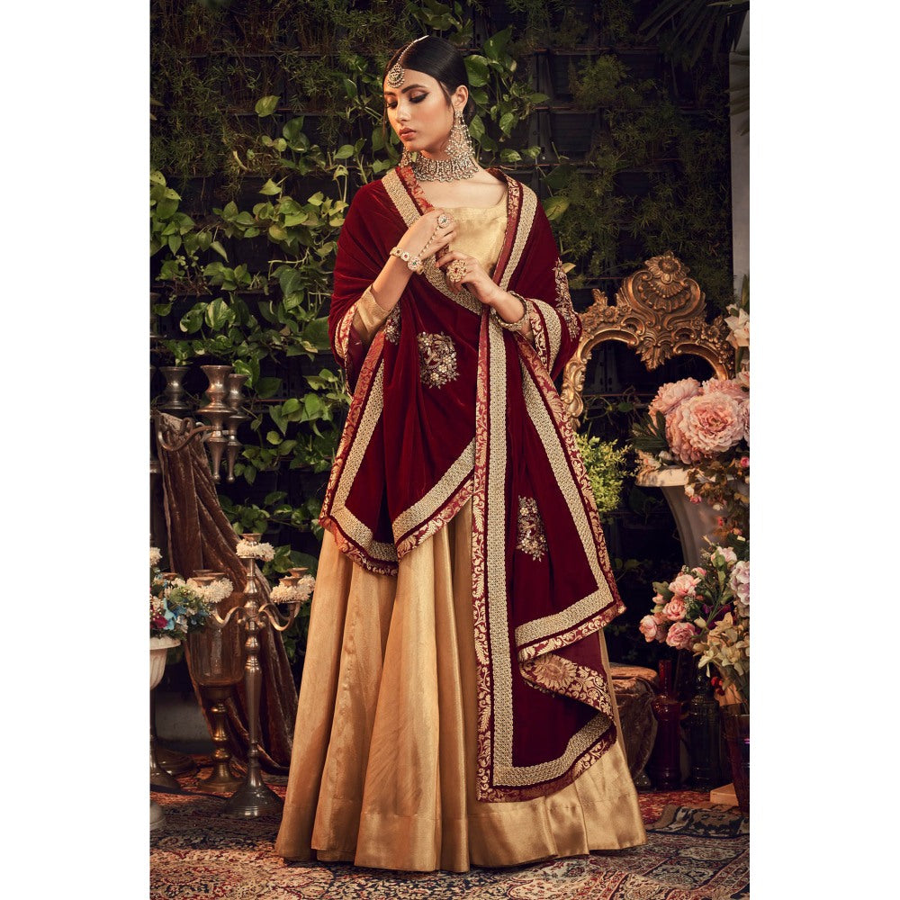 Ranian Oxidized Gold Lehenga and Blouse with Maroon Velvet Dupatta (Set of 3)