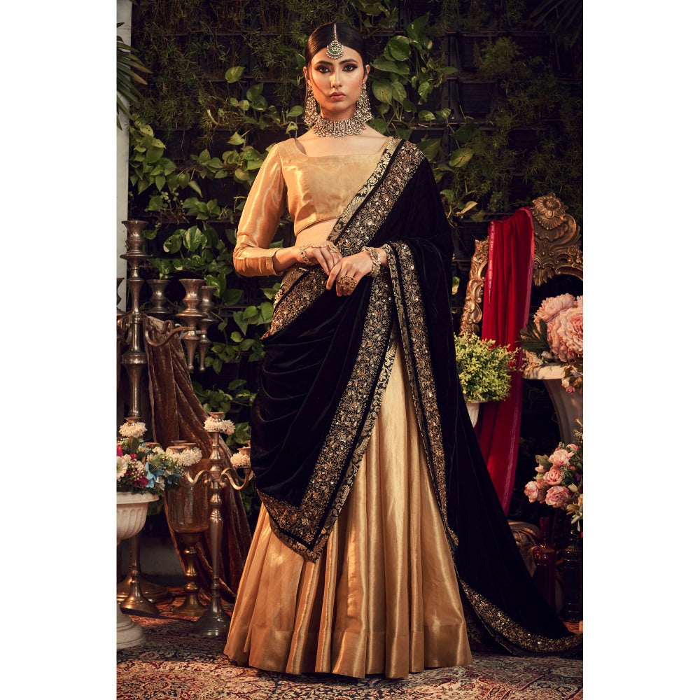 Ranian Oxidized Gold Lehenga and Blouse with Black Velvet Dupatta (Set of 3)