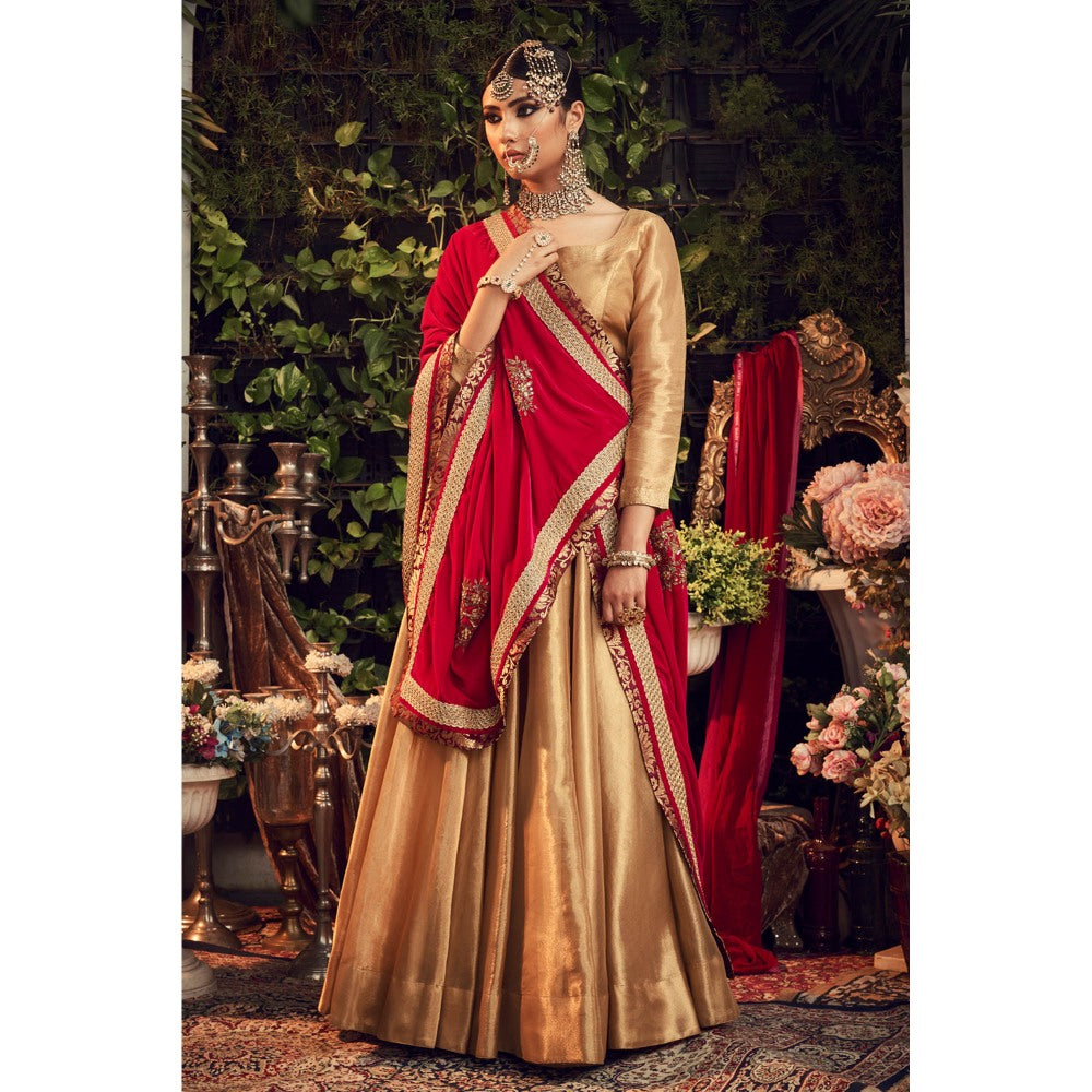 Ranian Oxidized Gold Lehenga and blouse with Red Velvet Dupatta (Set of 3)