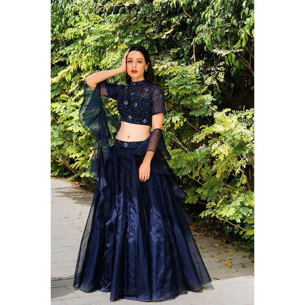 Rashika Sharma Maheem Organza Blouse and Lehenga with Dupatta (Set of 3)