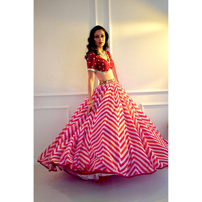 Rashika Sharma Myrah Pink Chevron Blouse and Lehenga with Dupatta (Set of 3)