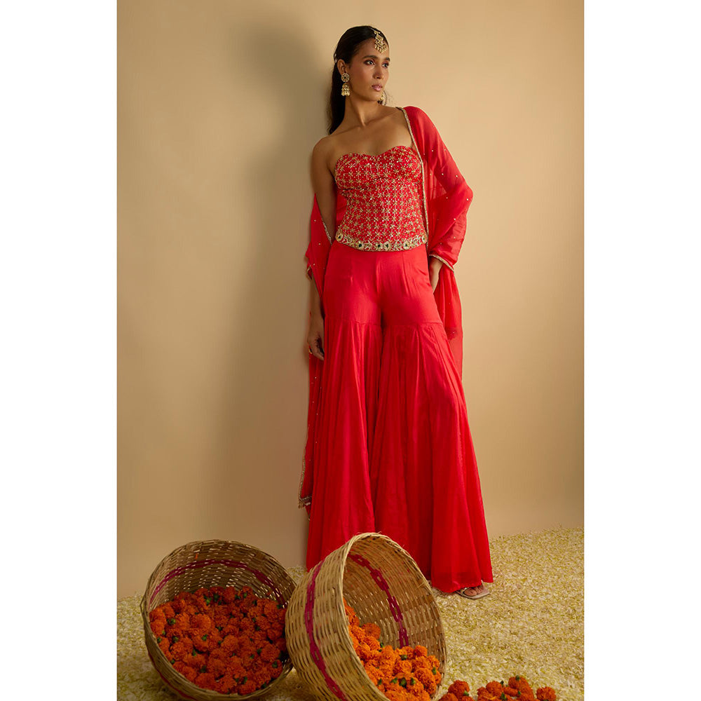 RAYASHA KHAN Pink Crimson Blush Silk Chiffon Sharara with Corset Top and Dupatta
