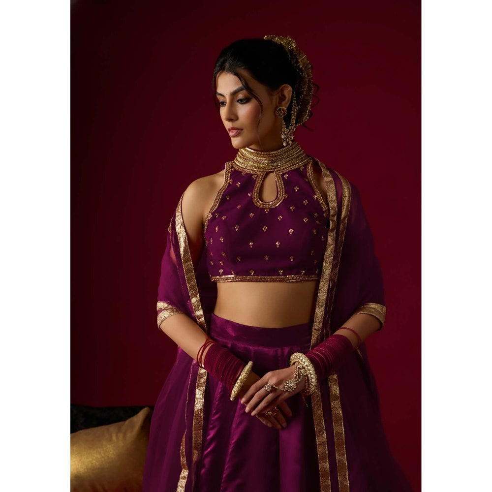 RAYASHA KHAN Brinjal Purple Russian Lehenga with Stitched Blouse and Dupatta