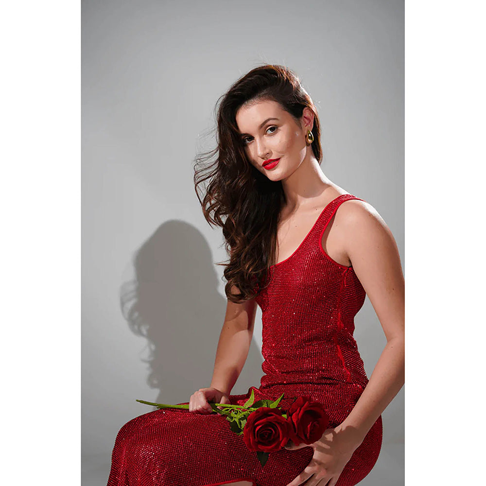Realm By Vaishali Midnight Red Chainmail Metallic Maxi Dress