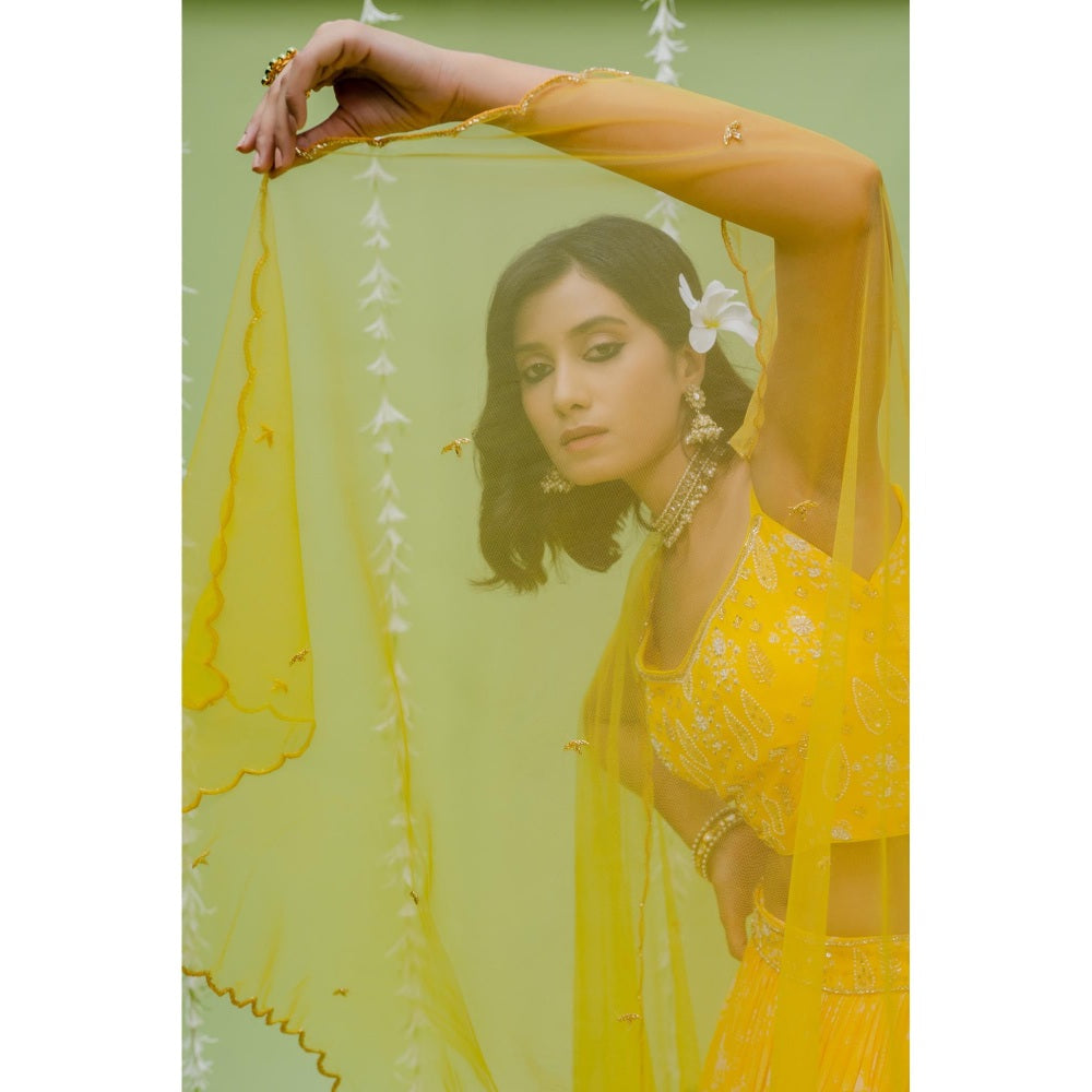 Redpine Designs Yellow Embroidered Lehenga with Blouse, Dupatta and Belt (Set of 4)