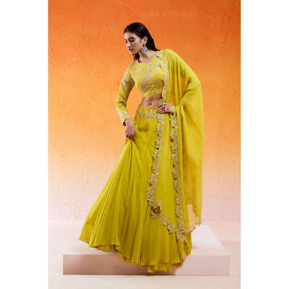 Redpine Designs Daisy Yellow Embellished Lehenga with Blouse and Dupatta (Set of 3)