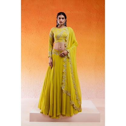 Redpine Designs Daisy Yellow Embellished Lehenga with Blouse and Dupatta (Set of 3)