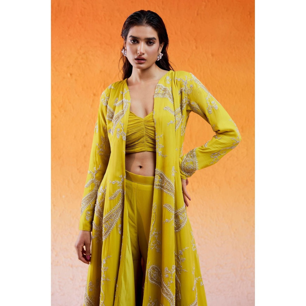 Redpine Designs Daisy Yellow Embroidered Jacket with Sharara and Bustier (Set of 3)