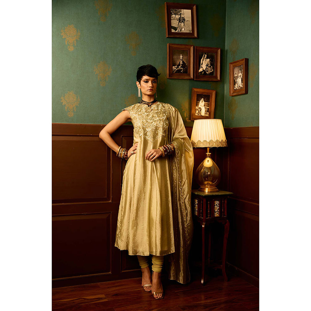 REETI ARNEJA Gul Beige Anarkali with Churidar and Dupatta (Set of 3)