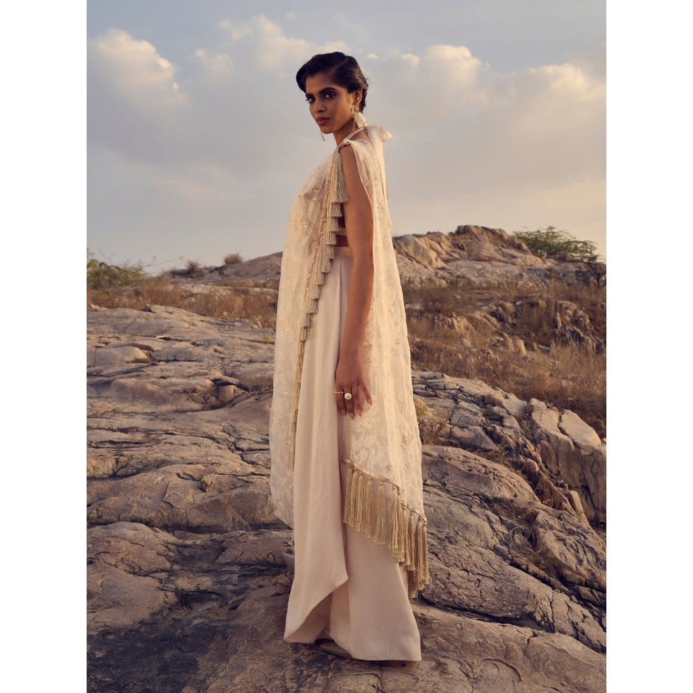 RENASCI Women Pre-Draped Saree with Stitched Blouse