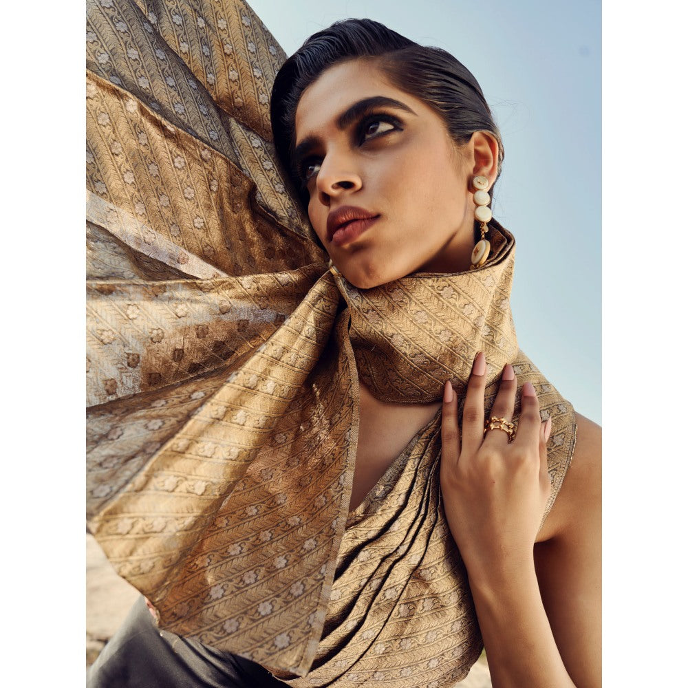 RENASCI Women Banarsi Pre Draped Saree with Stitched Blouse
