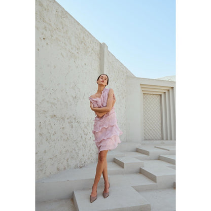 RENASCI Pink Self Design Swirl Knee Length Dress