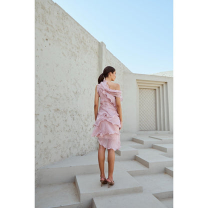 RENASCI Pink Self Design Swirl Knee Length Dress