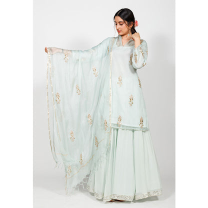 Rhapsody Jaipur High Collared Kurta and Skirt (Set of 3)