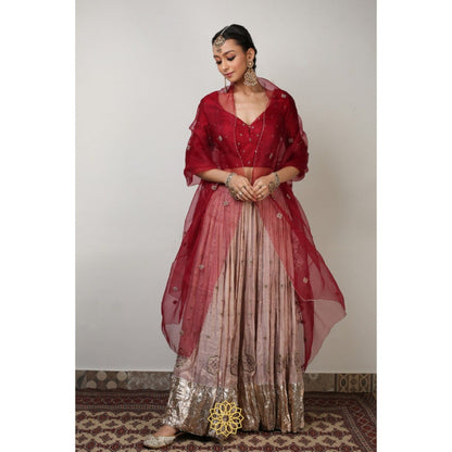 Rhua India Maroon Ishka Lehenga with Blouse and Dupatta (Set of 3)