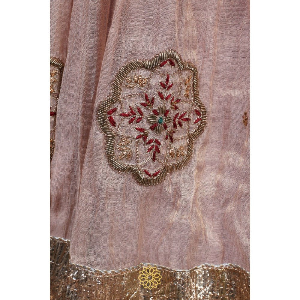 Rhua India Maroon Ishka Lehenga with Blouse and Dupatta (Set of 3)