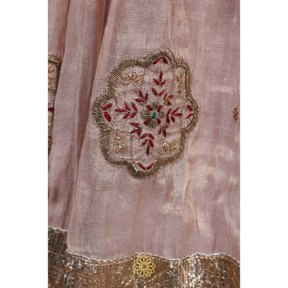 Rhua India Maroon Ishka Lehenga with Blouse and Dupatta (Set of 3)