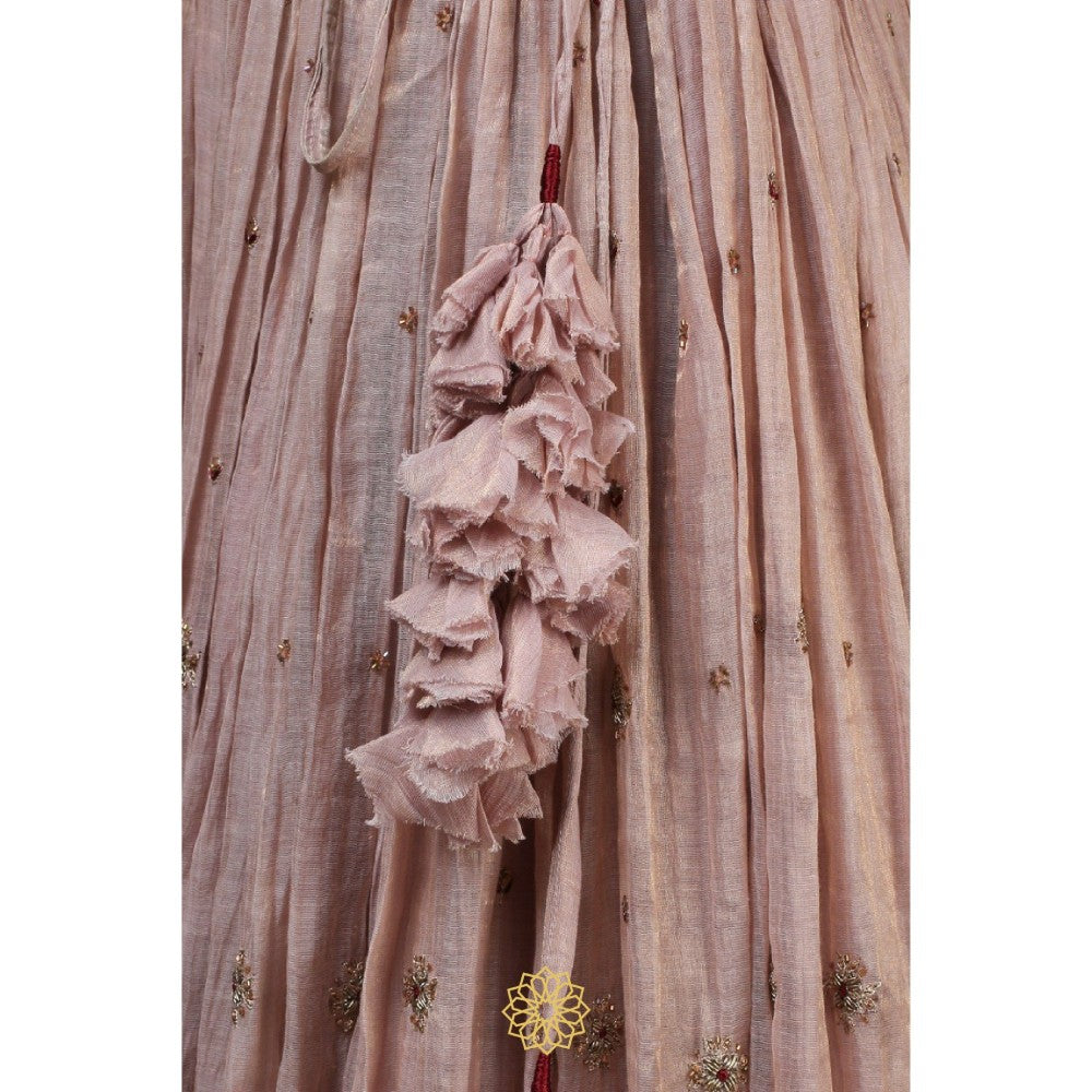 Rhua India Maroon Ishka Lehenga with Blouse and Dupatta (Set of 3)