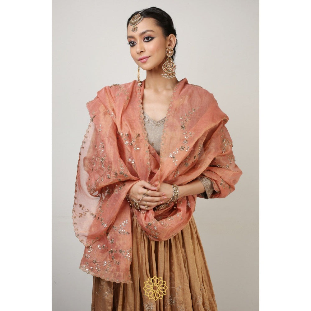Rhua India Multi-Colour Rysa Lehenga with Blouse and Dupatta (Set of 3)