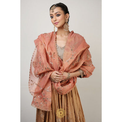 Rhua India Multi-Colour Rysa Lehenga with Blouse and Dupatta (Set of 3)