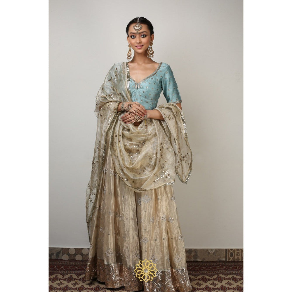 Rhua India Aqua Tani Lehenga with Blouse and Dupatta (Set of 3)