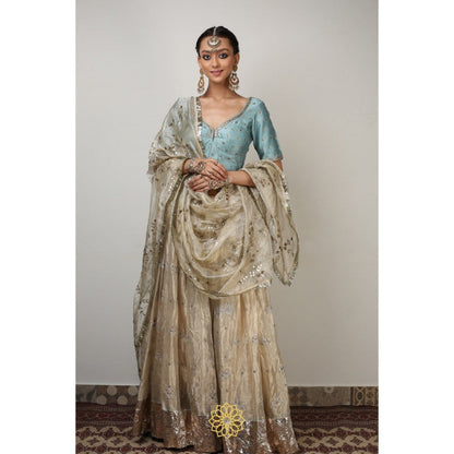 Rhua India Aqua Tani Lehenga with Blouse and Dupatta (Set of 3)