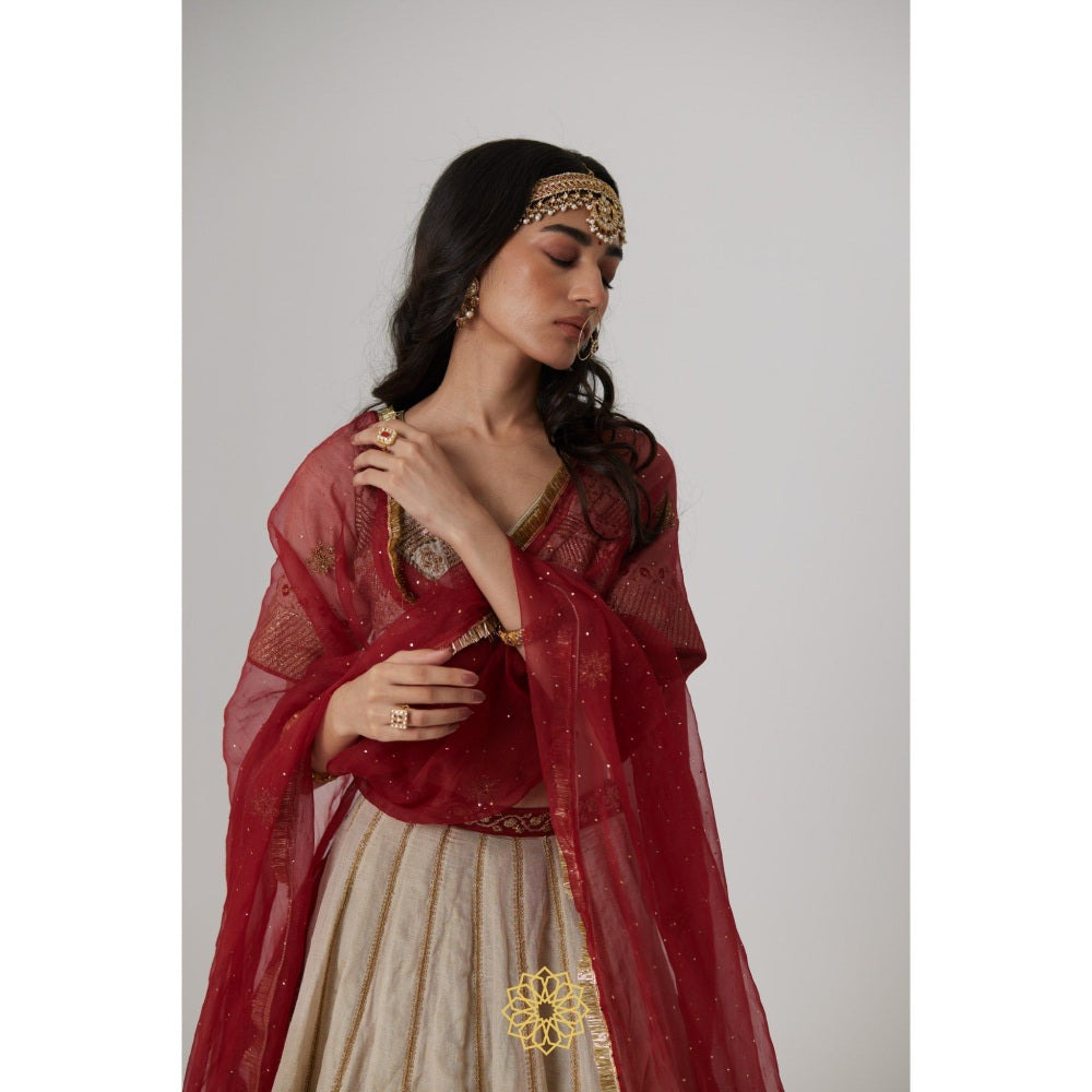 Rhua India Beige Kashvi Lehenga with Blouse and Dupatta (Set of 3)