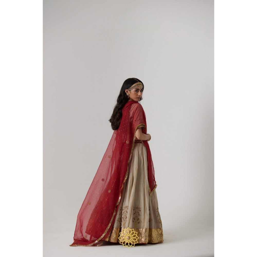 Rhua India Beige Kashvi Lehenga with Blouse and Dupatta (Set of 3)
