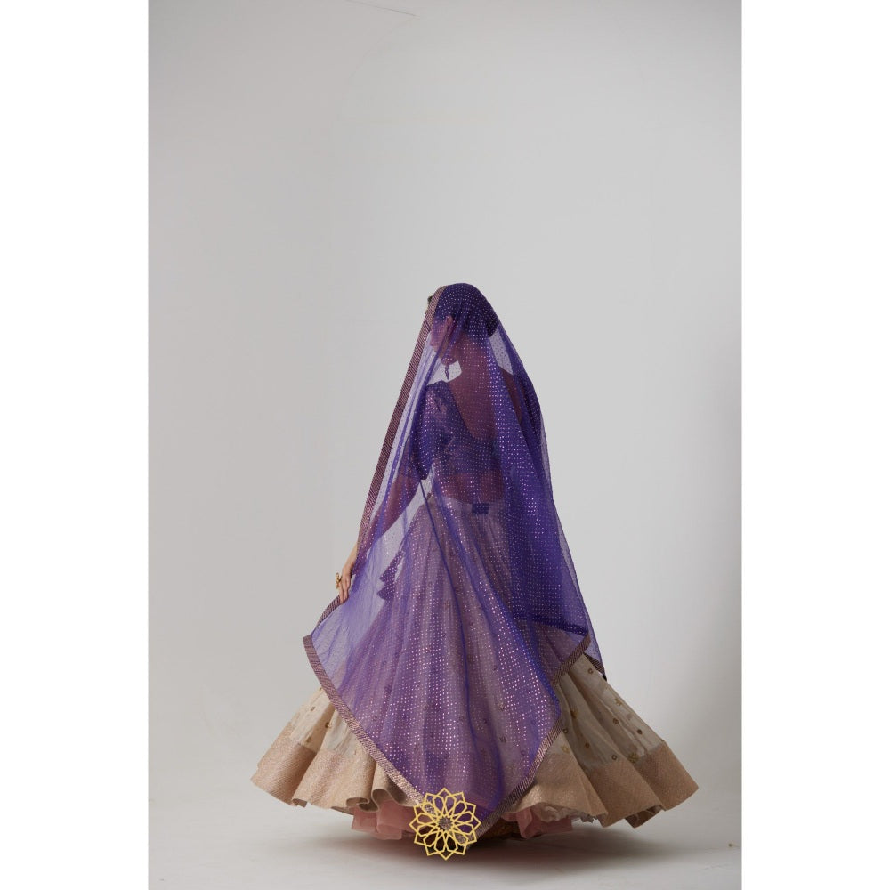 Rhua India Purple Janaki Lehenga with Blouse and Dupatta (Set of 3)