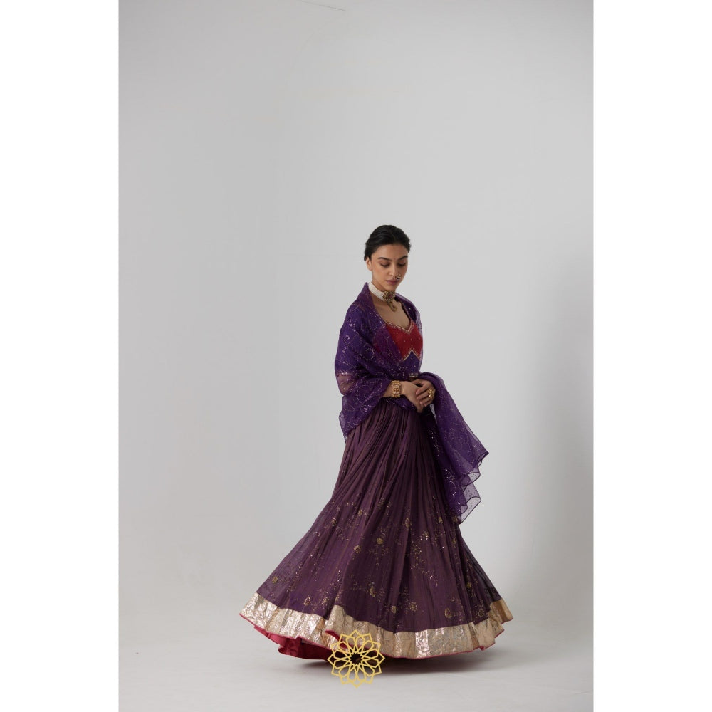 Rhua India Purple Dipta Lehenga with Blouse and Dupatta (Set of 3)