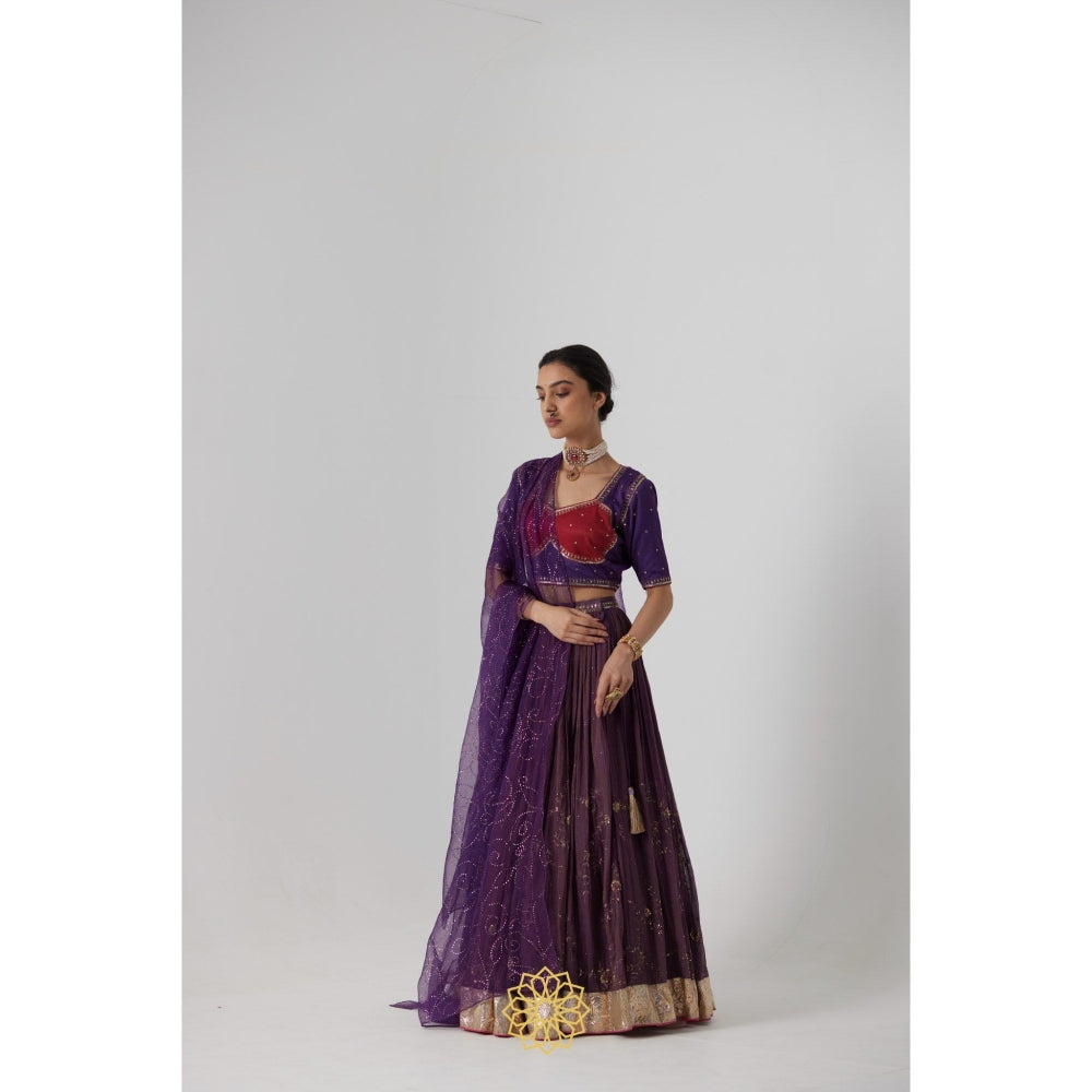 Rhua India Purple Dipta Lehenga with Blouse and Dupatta (Set of 3)