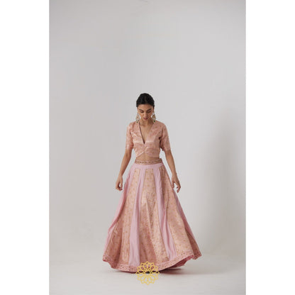 Rhua India Pink Aachal Lehenga with Blouse and Dupatta (Set of 3)