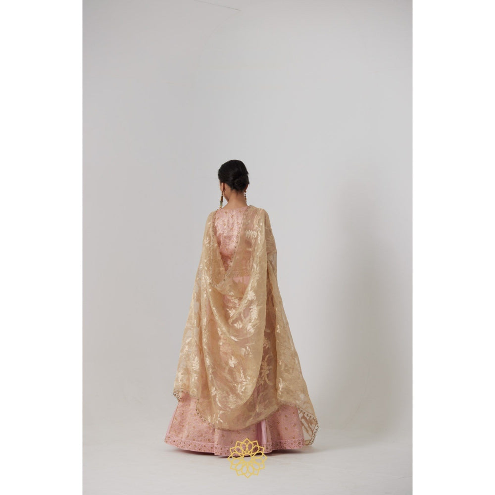 Rhua India Pink Aachal Lehenga with Blouse and Dupatta (Set of 3)