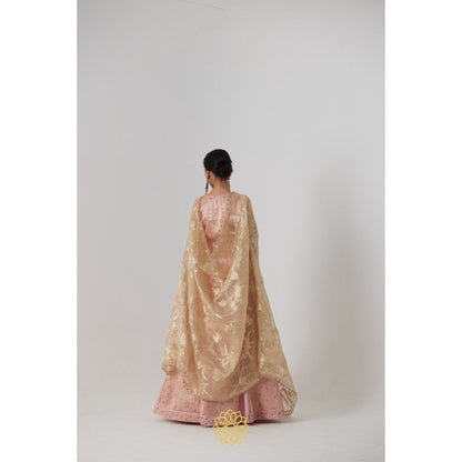 Rhua India Pink Aachal Lehenga with Blouse and Dupatta (Set of 3)