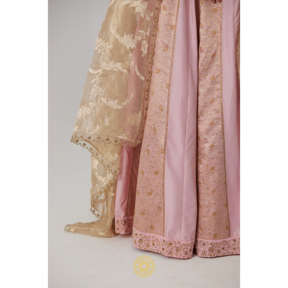 Rhua India Pink Aachal Lehenga with Blouse and Dupatta (Set of 3)