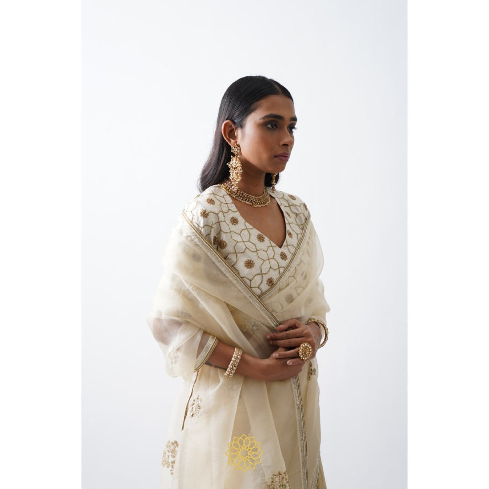 Rhua India White Avanti Classical Saree with Stitched Blouse and Petticoat