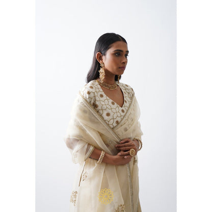 Rhua India White Avanti Classical Saree with Stitched Blouse and Petticoat