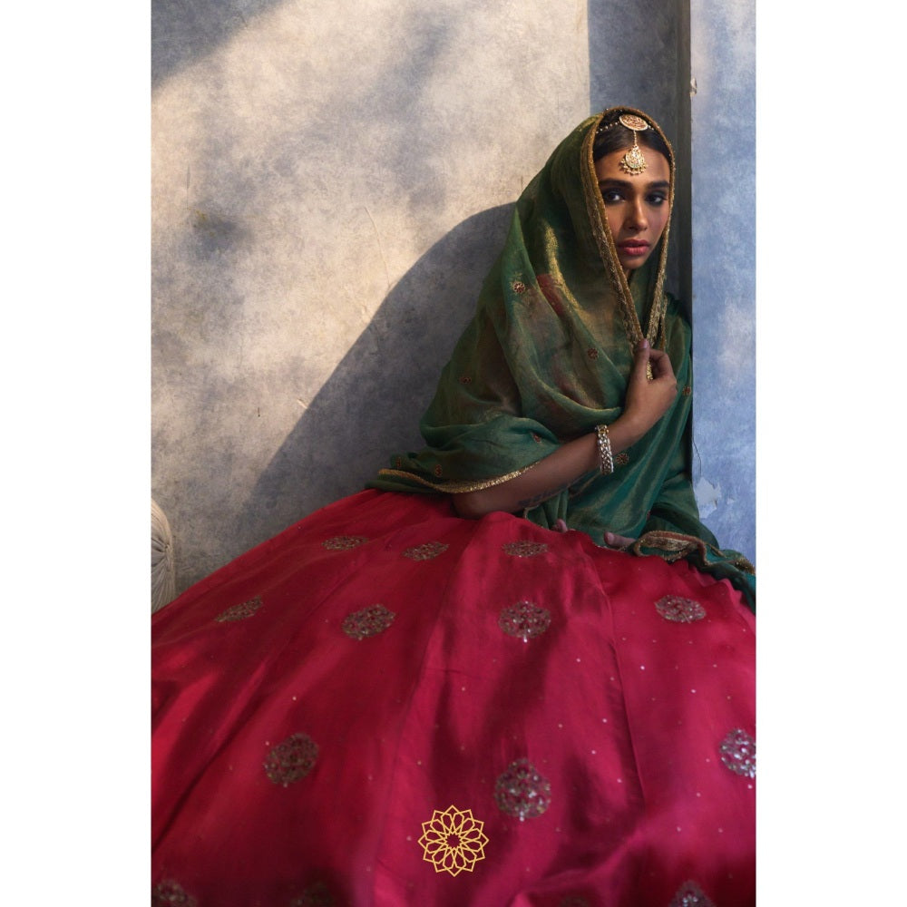 Rhua India Red Rati Lehenga with Blouse and Dupatta (Set of 3)