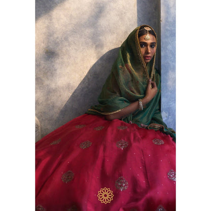 Rhua India Red Rati Lehenga with Blouse and Dupatta (Set of 3)