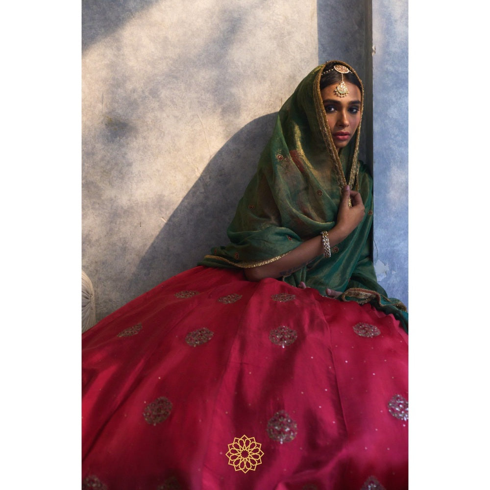 Rhua India Red Rati Lehenga with Blouse and Dupatta (Set of 3)