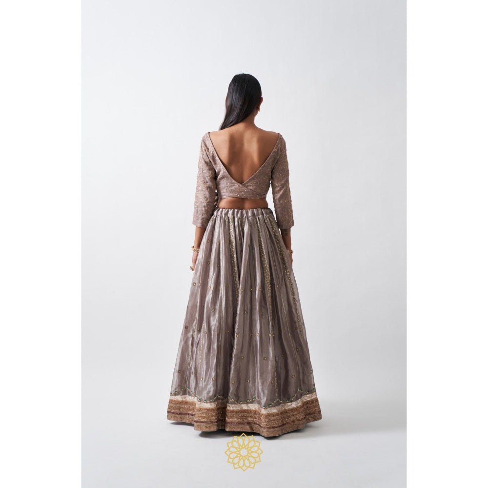 Rhua India Taupe Anaita Lehenga with Blouse and Dupatta (Set of 3)