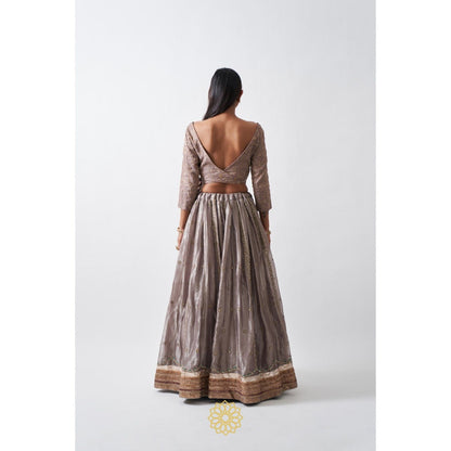 Rhua India Taupe Anaita Lehenga with Blouse and Dupatta (Set of 3)