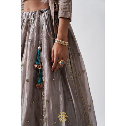 Rhua India Taupe Anaita Lehenga with Blouse and Dupatta (Set of 3)