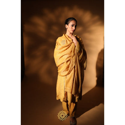 Rhua India Yellow Saie Straight Kurta with Salwar and Dupatta (Set of 3)