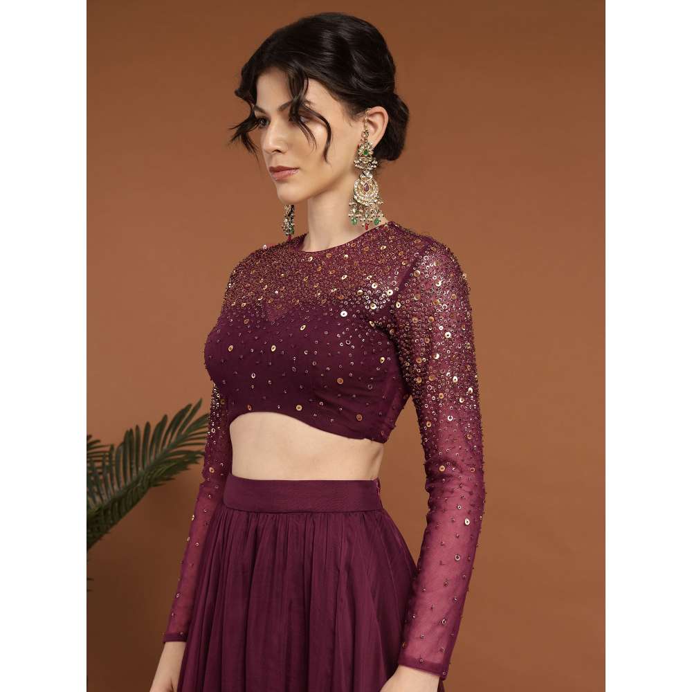 RIRASA Padmahasta Organza and Net Wine Lehenga with Blouse (Set of 2)