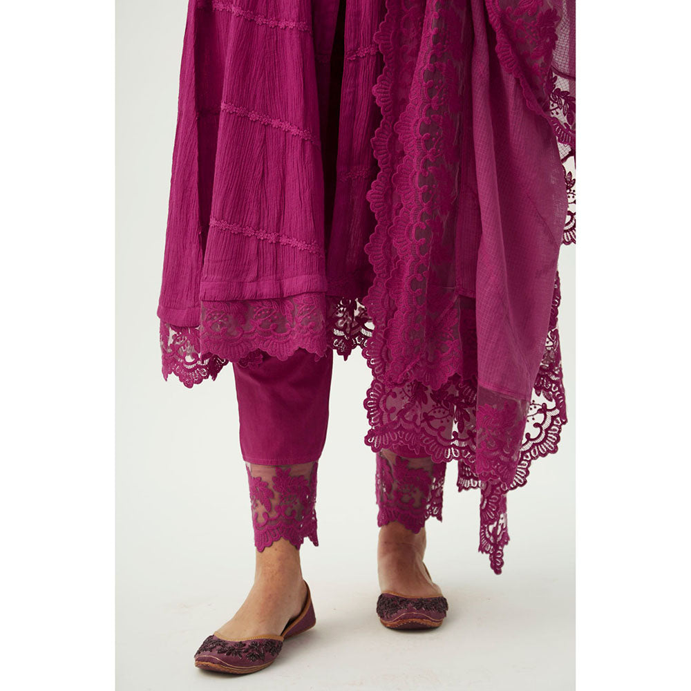 Roze Mahjabeen Magenta Pants