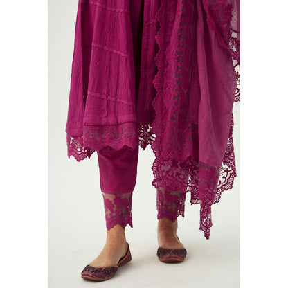 Roze Mahjabeen Magenta Pants