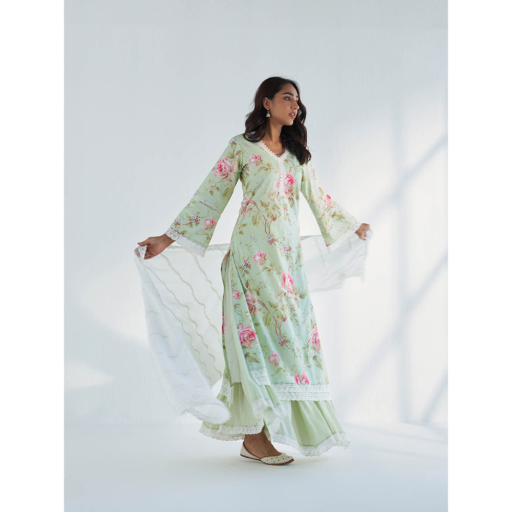 Roze Maysoon Dupatta